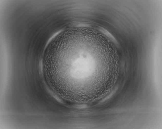 X0000114160798200910081352