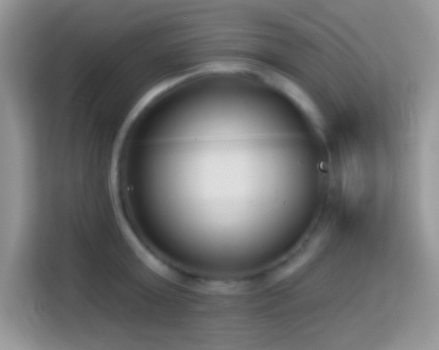 X0000114160803200910081352