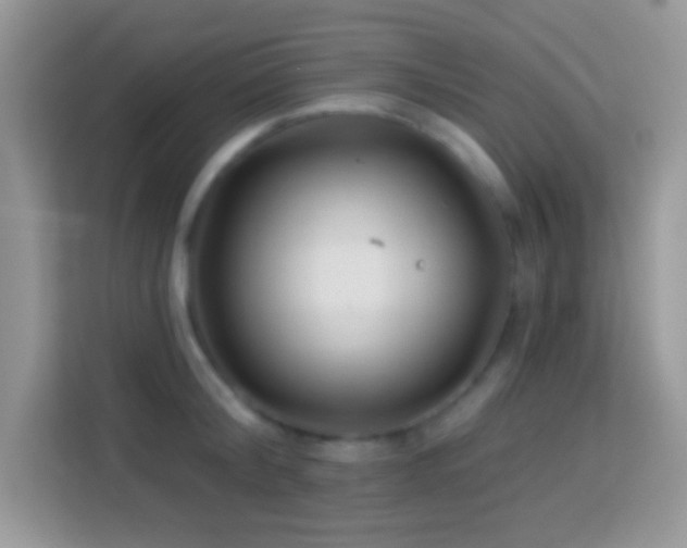 X0000114160804200910081352