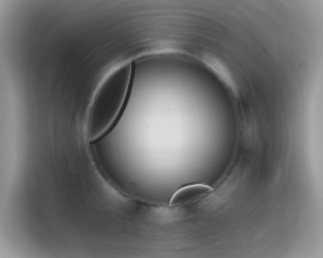 X0000114160805200910081352