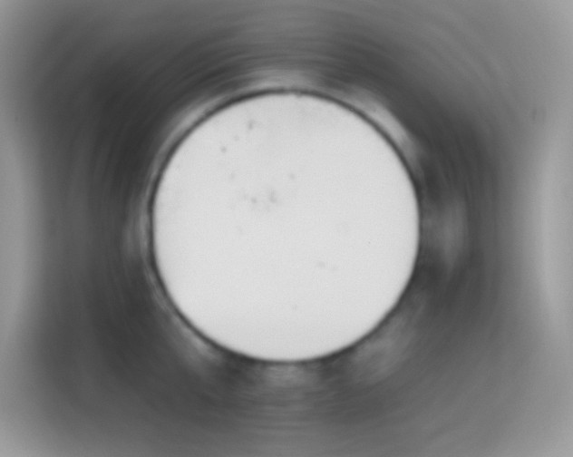 X0000114160807200910081352