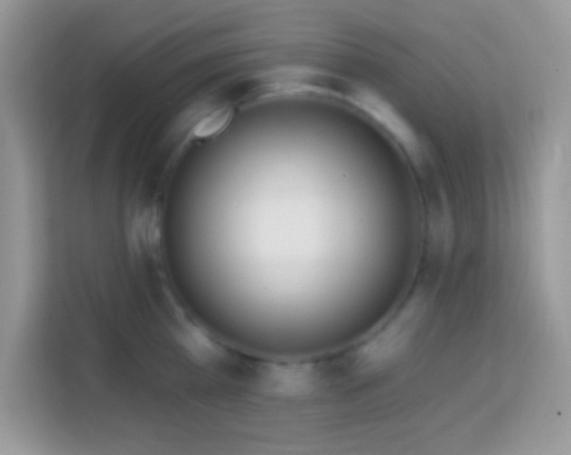 X0000114160809200910081352