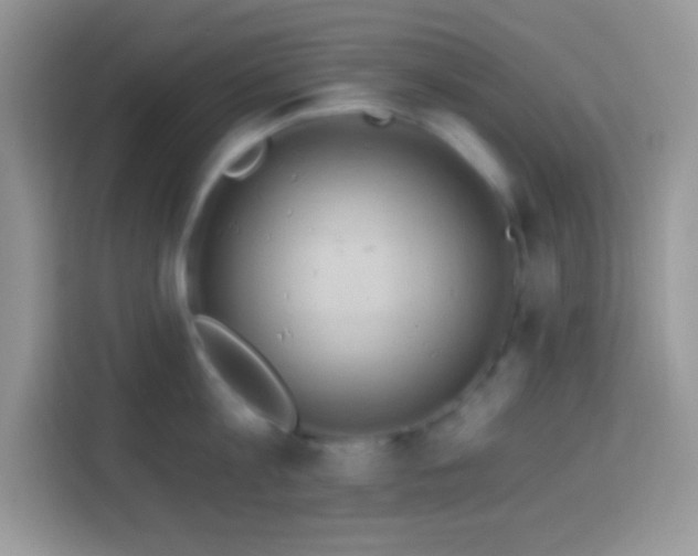 X0000114160813200910081352