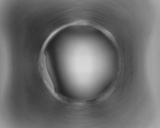 X0000114160816200910081352