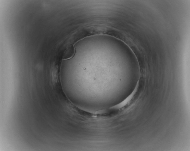 X0000114160818200910081351