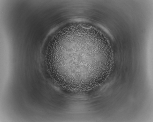 X0000114160823200910081351