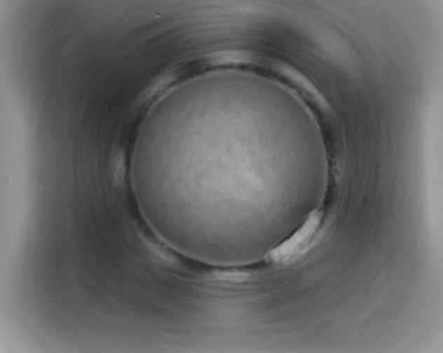 X0000114160825200910081351