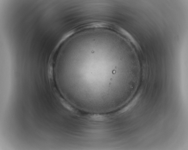 X0000114160827200910081351
