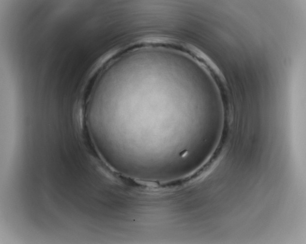 X0000114160829200910081351