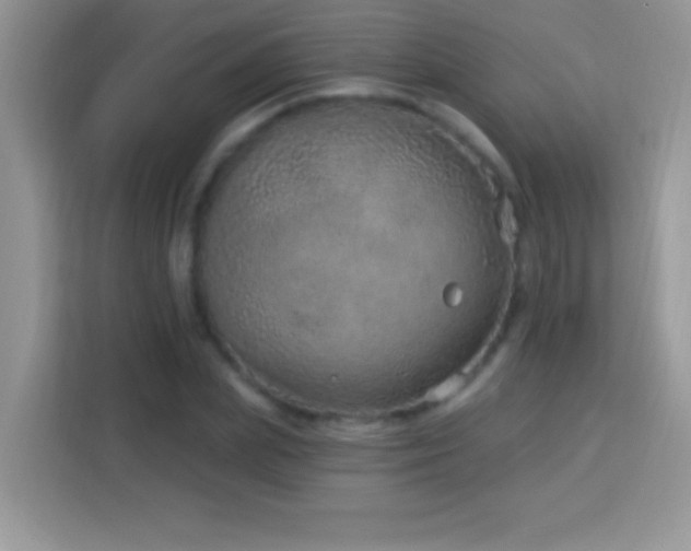 X0000114160831200910081351