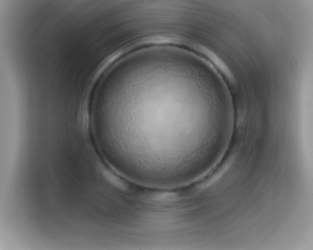 X0000114160837200910081352