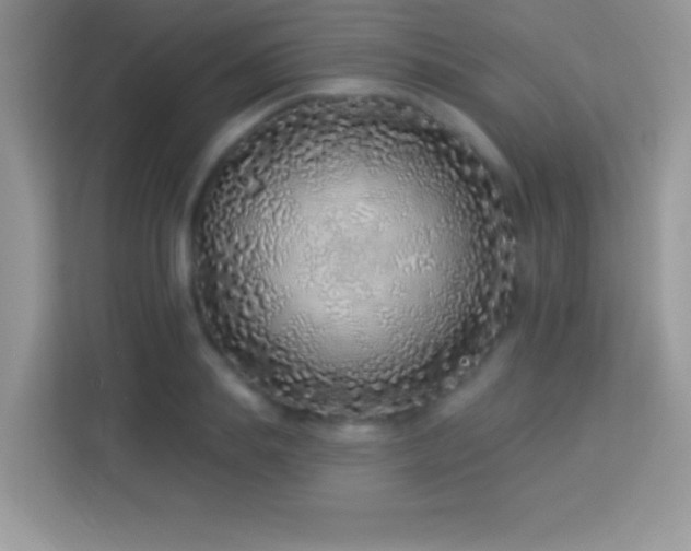 X0000114160839200910081352