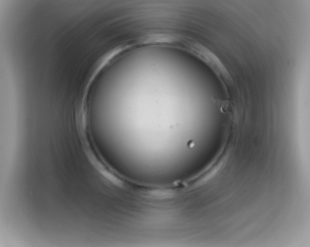 X0000114160844200910081352