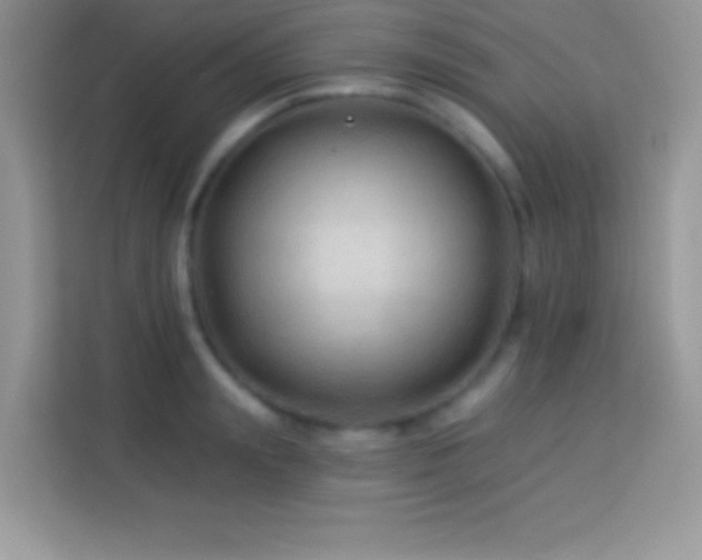 X0000114160847200910081352