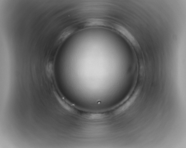 X0000114160849200910081352