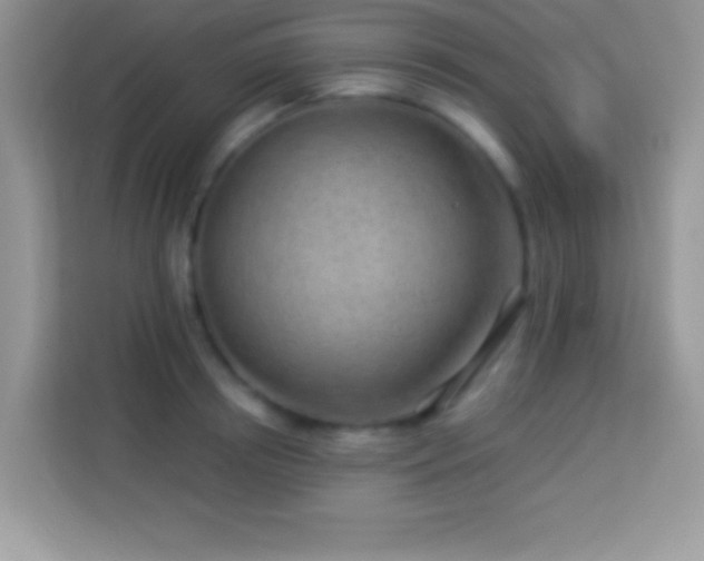 X0000114160850200910081352