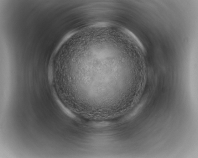 X0000114160851200910081352