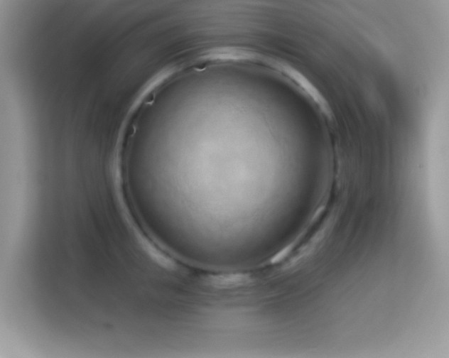 X0000114160853200910081352
