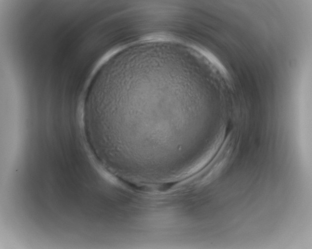 X0000114160854200910081352