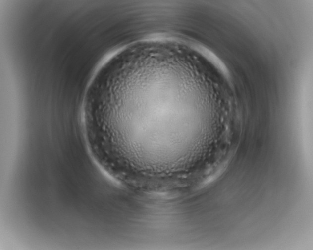 X0000114160855200910081352