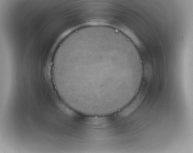 X0000114160856200910081352