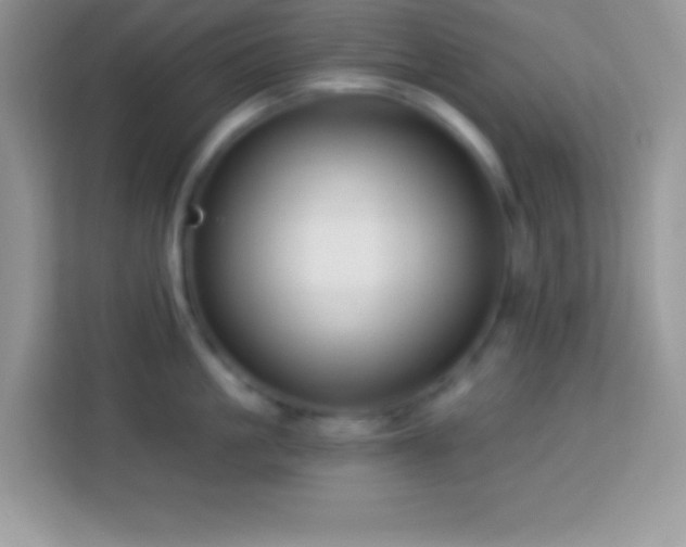 X0000114160861200910081352
