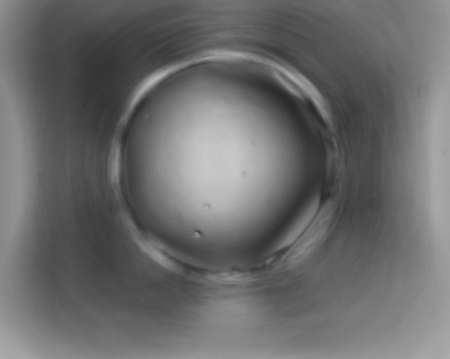 X0000114160862200910081352