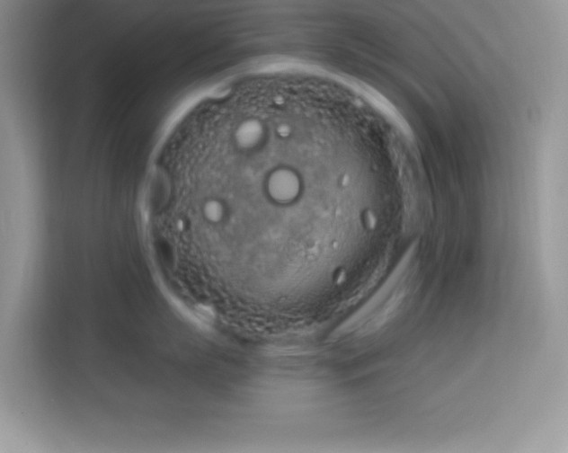 X0000114160863200910081352