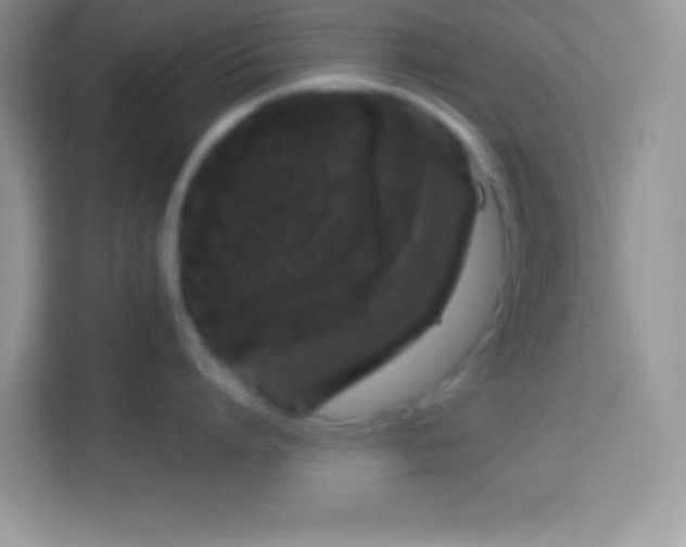 X0000114160864200910081352