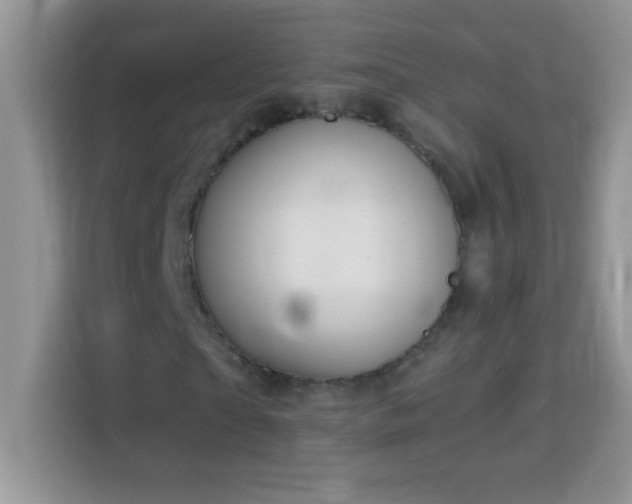X0000114160865200910081351