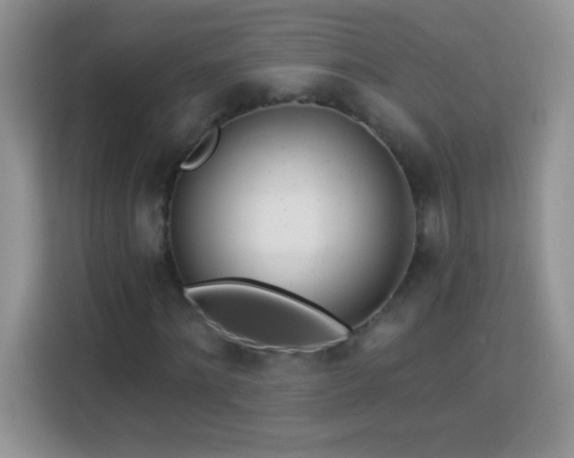 X0000114160868200910081351