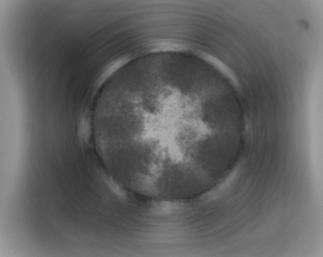 X0000114160874200910081351