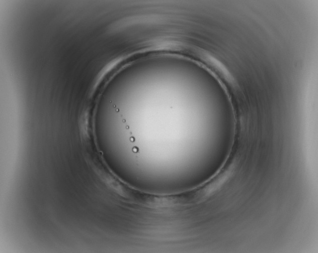 X0000114160875200910081351