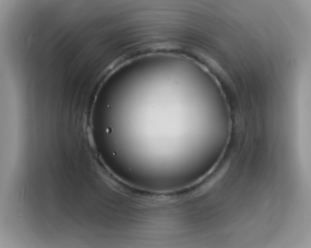 X0000114160881200910081351