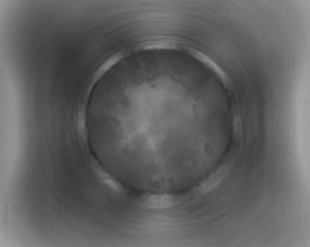 X0000114160882200910081351