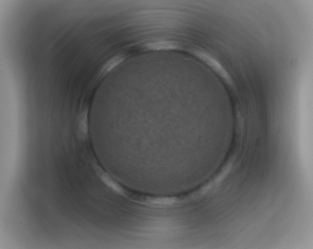 X0000114160889200910081351