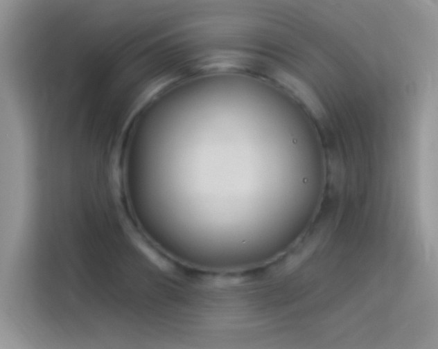 X0000114160890200910081351
