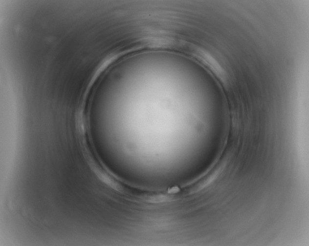 X0000114160891200910081351