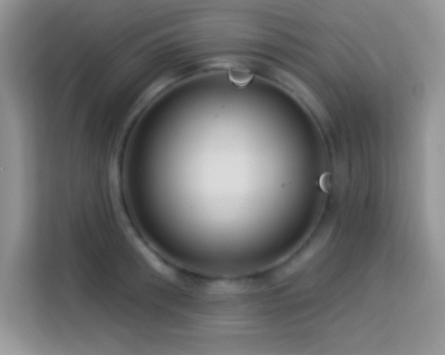 X0000114160898200910081351
