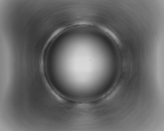 X0000114160902200910081351