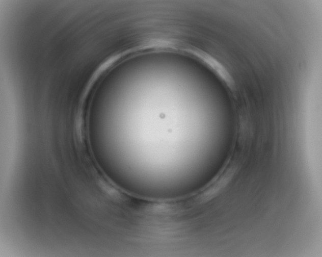 X0000114160904200910081351