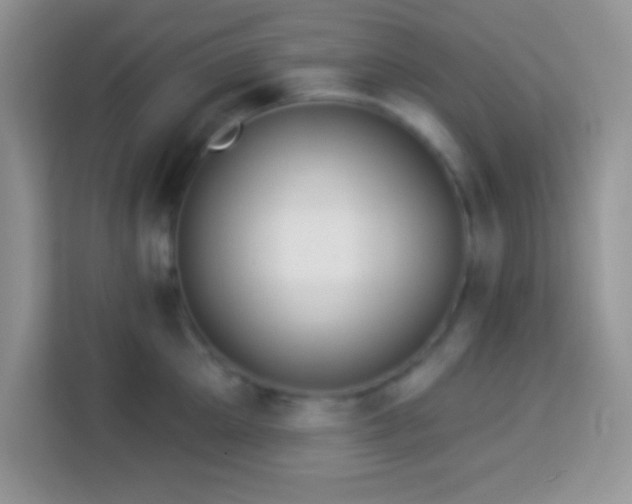 X0000114160905200910081351