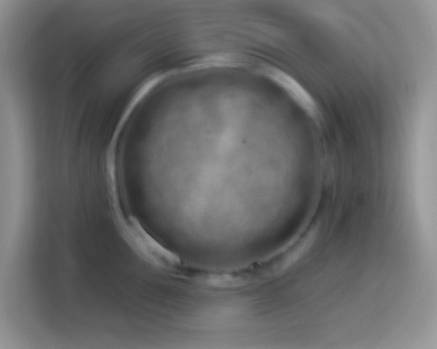 X0000114160907200910081351