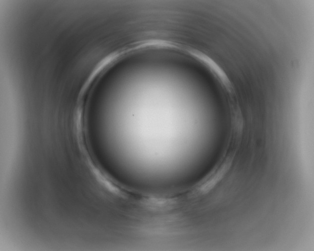 X0000114160910200910081351