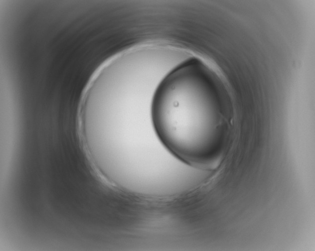 X0000114160912200910081351