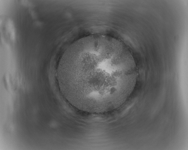 X0000114160913200910081350