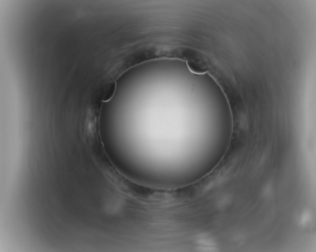 X0000114160914200910081350