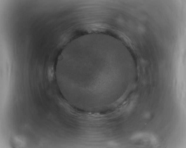 X0000114160915200910081350