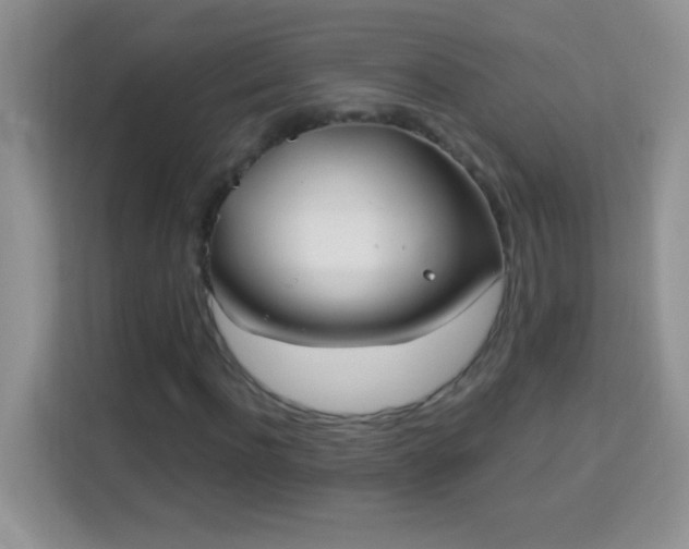 X0000114160916200910081350