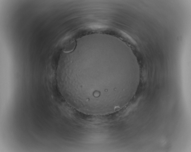X0000114160917200910081350